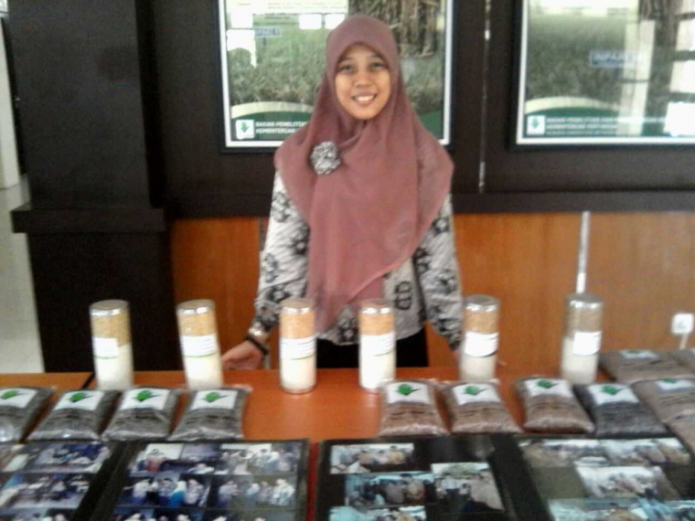Beras Pecah Kulit Lebih Baik dari Beras Biasa Halaman 1 Beras Pecah Kulit Lebih Baik dari Beras Biasa Halaman 1