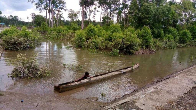 Jurus Menyelamatkan Papua dari Jurang Keterpurukan