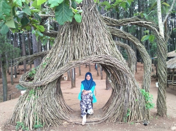 Menjelajah Hutan Pinus Pengger Jadi Lebih Seru Tanpa Pegal Menjelajah Hutan Pinus Pengger Jadi Lebih Seru Tanpa Pegal