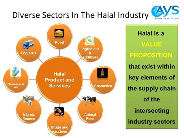 Industri Halal, Tantangan Dan Peluang Bagi Indonesia Halaman All ...