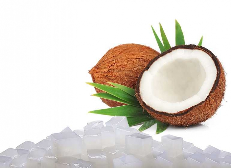 Hasil gambar untuk nata de coco