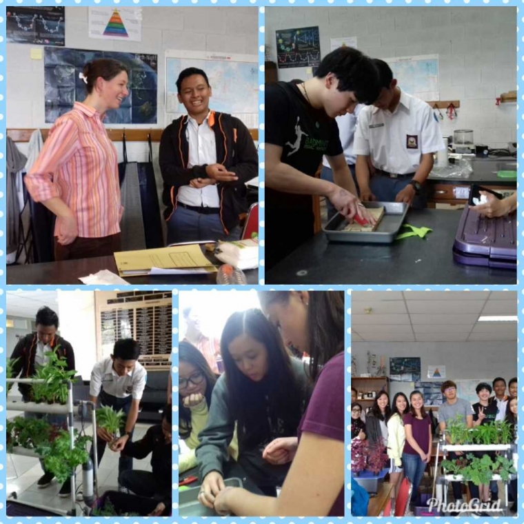 Tutorial Hidroponik KIR SAVAL di BAIS