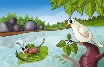 Dongeng Burung Merpati Dan Semut Kompasiana Com Dongeng Burung Merpati Dan Semut Kompasiana Com