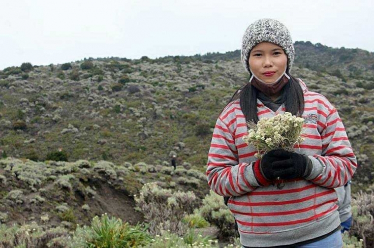 Pangkal Bala Percaya Mitos Bunga Edelweiss Halaman All Kompasiana Com