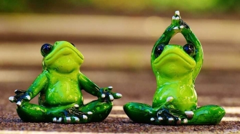 91 Gambar Kolase Hewan Katak Gratis 91 Gambar Kolase Hewan Katak Gratis
