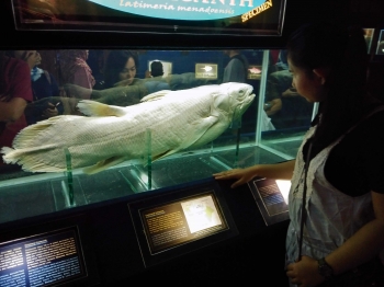 Antara Dunia Bawah Laut Dan Logika Berpikir Atheis Halaman Antara Dunia Bawah Laut Dan Logika Berpikir Atheis Halaman