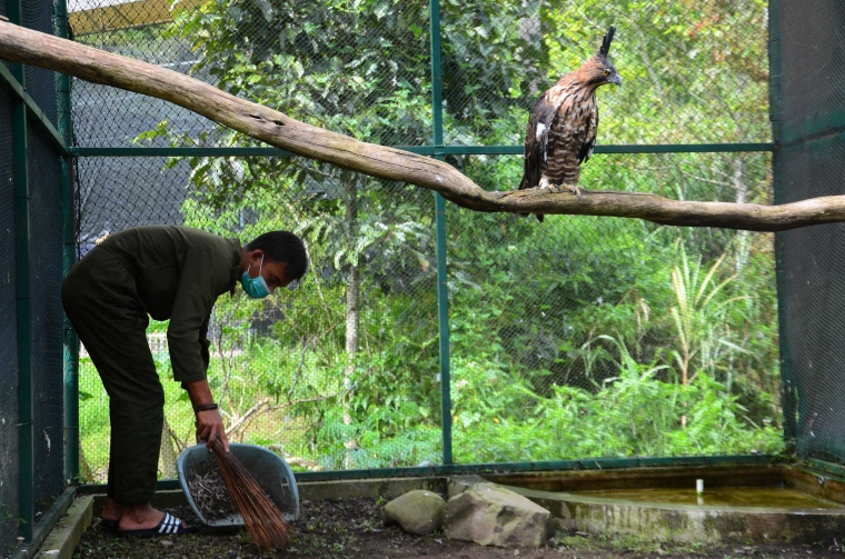 Cinta Tak Harus Memiliki Refleksi untuk Penggemar Elang Cinta Tak Harus Memiliki Refleksi untuk Penggemar Elang