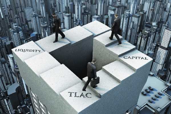 TLAC, Kapasitas Menyerap Kerugian dan Rekapitalisasi Bank Sistemik