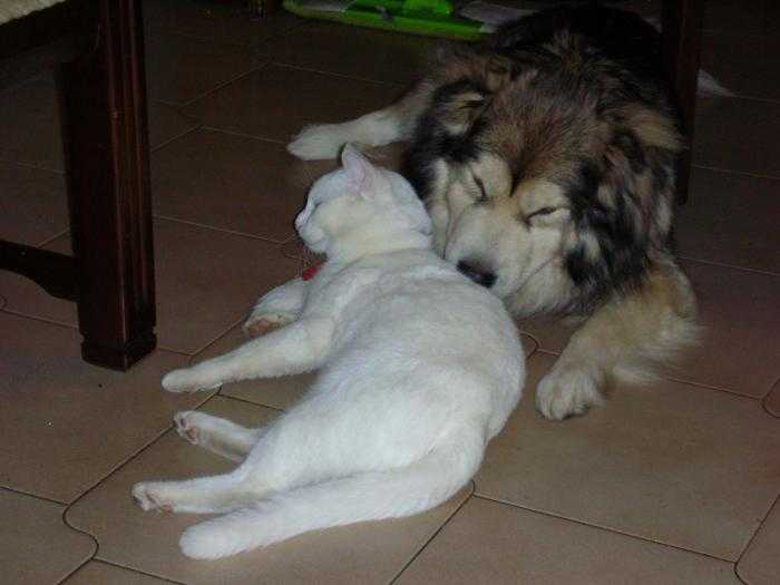 Sebuah Gambar Dapat Bercerita Lebih dari Apa yang Dapat Sebuah Gambar Dapat Bercerita Lebih dari Apa yang Dapat