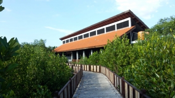 Mencari Keringat Di Taman Wisata Hutan Mangrove Surabaya Mencari Keringat Di Taman Wisata Hutan Mangrove Surabaya