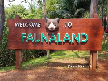Faunaland Ancol Menarik Dengan Koleksi Satwa Unik Di Alam Faunaland Ancol Menarik Dengan Koleksi Satwa Unik Di Alam