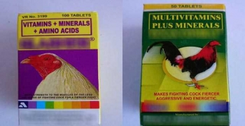 Ciri Ciri Kepala Dan Mata Ayam Aduan Yang Dicari Para Botoh