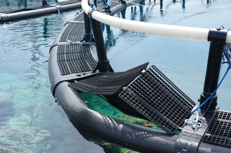 Belum Diresmikan Jokowi Keramba Jaring Apung Di Sabang Sudah Rusak Kompasiana Com