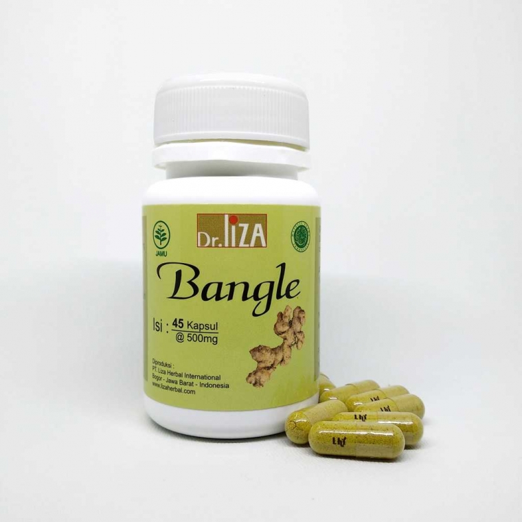 Bangle Tanaman Herbal Pelangsing Tanpa Efek Samping Kompasiana Com Bangle Tanaman Herbal Pelangsing Tanpa Efek Samping Kompasiana Com