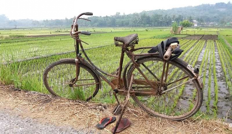 Mereka Yang Dimakan Usia Di Antara Hijaunya Sawah Oleh Ya Yat