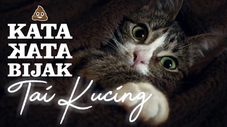 Mabuk Motivasi Sisi Buruk Kata kata Bijak Halaman all Mabuk Motivasi Sisi Buruk Kata kata Bijak Halaman all