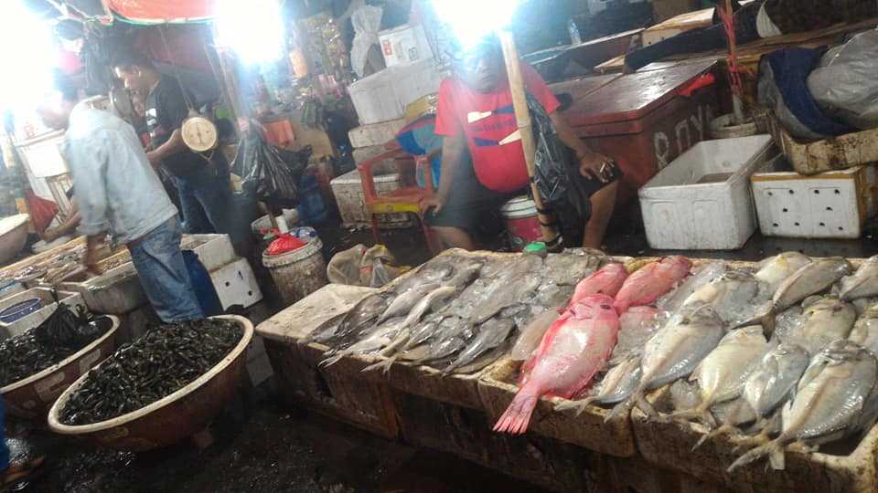 "Fish Hunting" Di Pasar Ikan Muara Angke, Jakarta Utara - Kompasiana.com