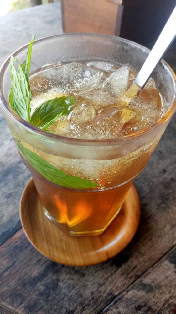 Kombucha Minuman Probiotik dari Teh yang Segar dan Sehat Kombucha Minuman Probiotik dari Teh yang Segar dan Sehat