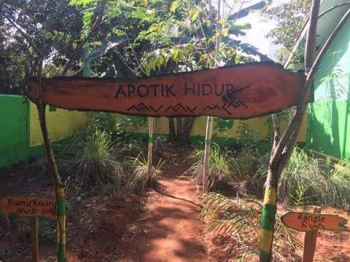 Jenis Tanaman Apotik Hidup Di Sekolah Berbagi Tanam Jenis Tanaman Apotik Hidup Di Sekolah Berbagi Tanam