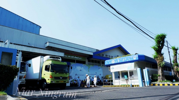 Berkunjung ke Pabrik Campina di Surabaya Masuk Kulkas Berkunjung ke Pabrik Campina di Surabaya Masuk Kulkas