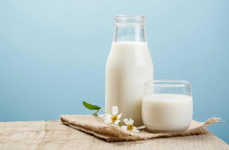 Kenali Kandungan Gizi pada Susu yang Memberikan Banyak Manfaat bagi Tubuh
