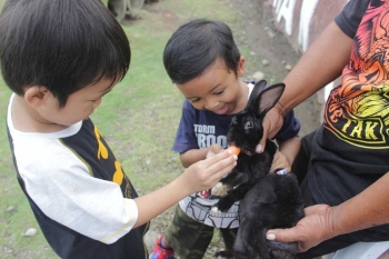 Taman Kelinci Wisata Edukasi Akrabkan Anak Pada Hewan Taman Kelinci Wisata Edukasi Akrabkan Anak Pada Hewan