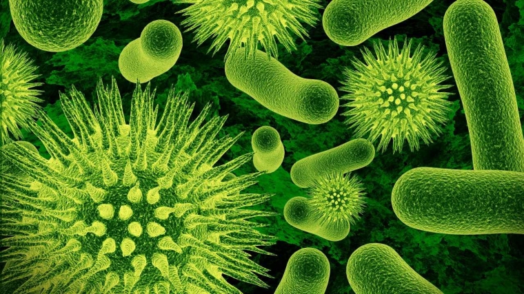 Kepunahan Bakteri, Mitos atau Fakta?