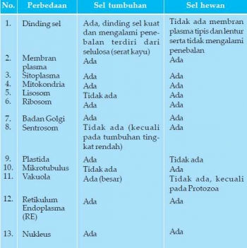 Sel Tumbuhan Dan Sel Hewan Lebih Lama Hidup Mana Sih Sel Tumbuhan Dan Sel Hewan Lebih Lama Hidup Mana Sih