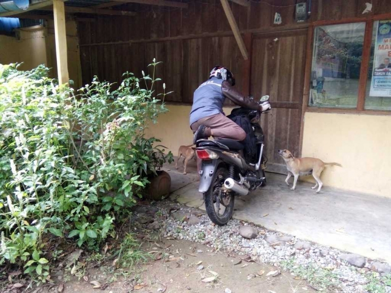 Ternyata, Adakalanya Anjing Lebih Setia daripada Manusia Halaman all