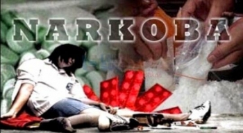 Artikel Tentang Bahaya  Narkoba  Bagi  Pelajar Cara Mengajarku Artikel Tentang Bahaya  Narkoba  Bagi  Pelajar Cara Mengajarku