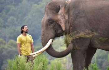 Gajahku Sayang Taman Nasional Way Kambas Lampung Halaman
