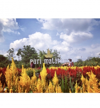 Wisata Baru Di Yogyakarta Puri Mataram Halaman All Wisata Baru Di Yogyakarta Puri Mataram Halaman All