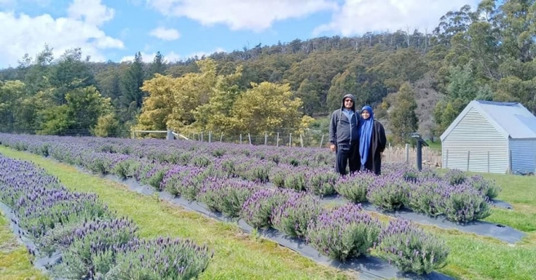 Port Arthur Lavender Wisata Kebun Dan Cafe Di Pulau Tasmania Halaman 1 Kompasiana Com