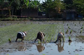 Melihat Langsung Sumber Inspirasi Gambar Legendaris Anak Sd Melihat Langsung Sumber Inspirasi Gambar Legendaris Anak Sd
