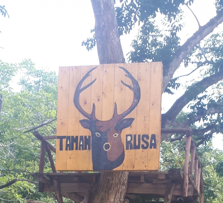 unduh gratis gambar animasi Wisata Taman Rusa Dan Kelinci Di Kota Batam Halaman All Terkeren