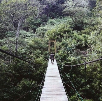 Tour In Bandung Taman Hutan Raya Ir H Djuanda