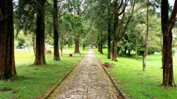 95 Gambar Pemandangan Cibodas HD 95 Gambar Pemandangan Cibodas HD
