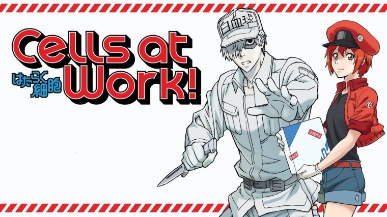 Download Hataraku Saibou Anime Edutainment Yang Sukses Curi Hati Kalangan For iPhone Get Wallpaper Hataraku Saibou Anime Edutainment Yang Sukses Curi Hati Kalangan For Free