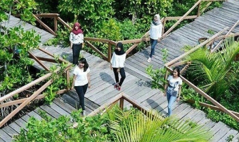 Wisata Hutan Mangrove Di Kampung Laut Cilacap Kompasiana Com Wisata Hutan Mangrove Di Kampung Laut Cilacap Kompasiana Com