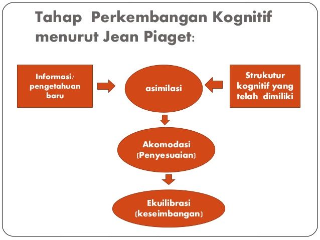 Proses Kognitif pada Anak Kompasiana