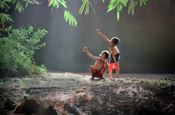 1000 Gambar Burung Anak Kecil Lucu HD Terbaru 1000 Gambar Burung Anak Kecil Lucu HD Terbaru