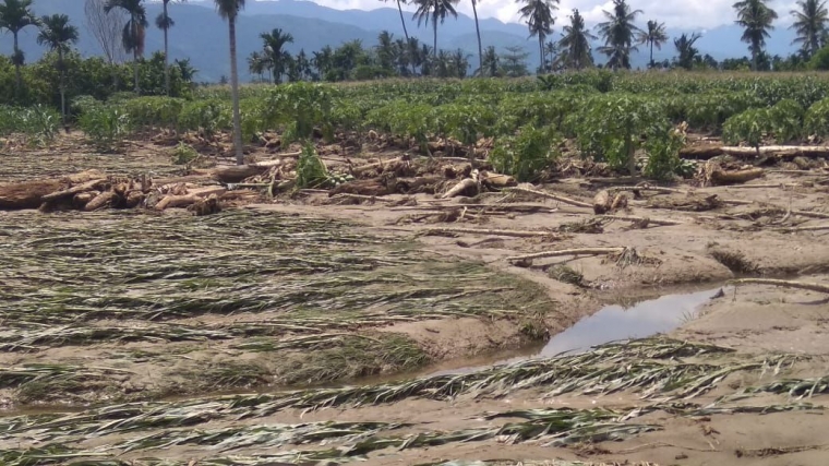 Memancing di Air Keruh Kompasiana com Memancing di Air Keruh Kompasiana com