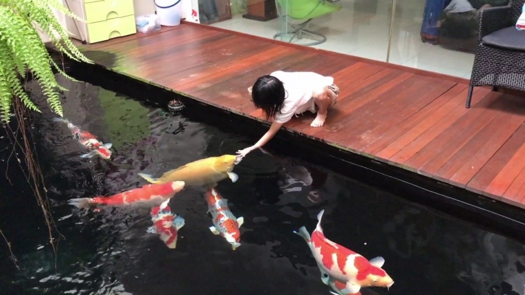 Cat No Drop Untuk Kolam Ikan Koi KOLAMA Cat No Drop Untuk Kolam Ikan Koi KOLAMA
