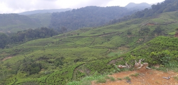 Desa Wisata Malasari Tujuan Liburan Sejuk Dan Tenang Di Desa Wisata Malasari Tujuan Liburan Sejuk Dan Tenang Di