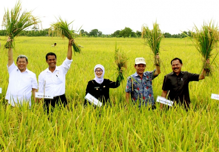 Program Kerja Pemerintah Untuk Meningkatkan Pertanian Berkelanjutan Di Indonesia Kompasiana Com