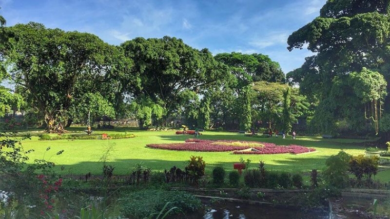 kebun raya bogor