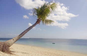 Mengunjungi Pantai Pantai Kece Nan Menawan Di Pulau Rote Mengunjungi Pantai Pantai Kece Nan Menawan Di Pulau Rote
