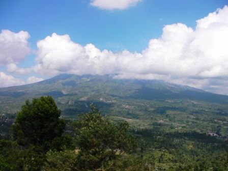 Sampai di Kampung, Mau Ngapain Aja?