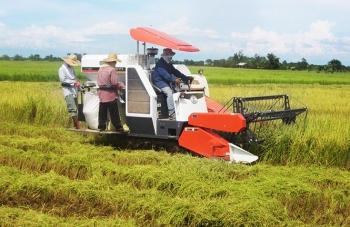 Modernisasi Dan Perubahan Sosial Petani Halaman All Modernisasi Dan Perubahan Sosial Petani Halaman All