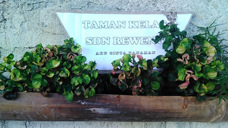 Sekolah Adiwiyata Dan Pendidikan Karakter Kompasiana Com